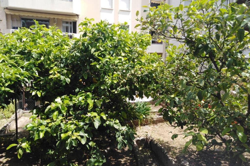 Apartament Moneghetti Beausoleil Zewnętrze zdjęcie